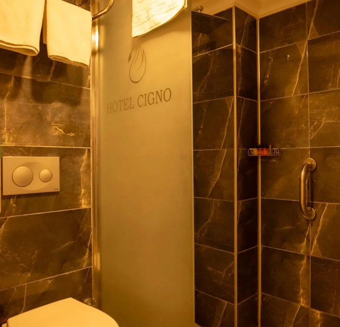 Farina Hotel By Cigno Istambul 4*,