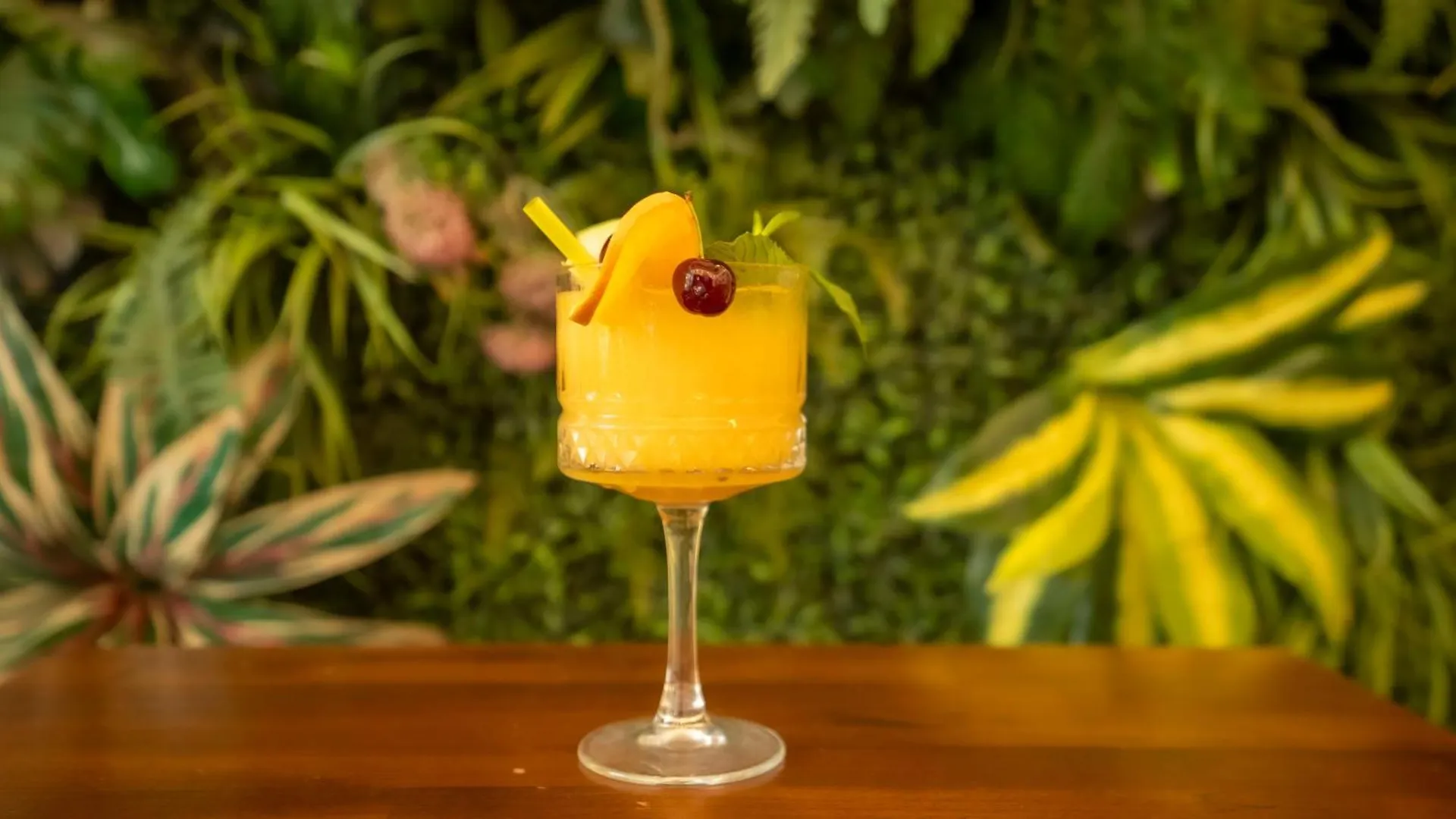 法里纳天鹅酒店 伊斯坦布尔 酒店
